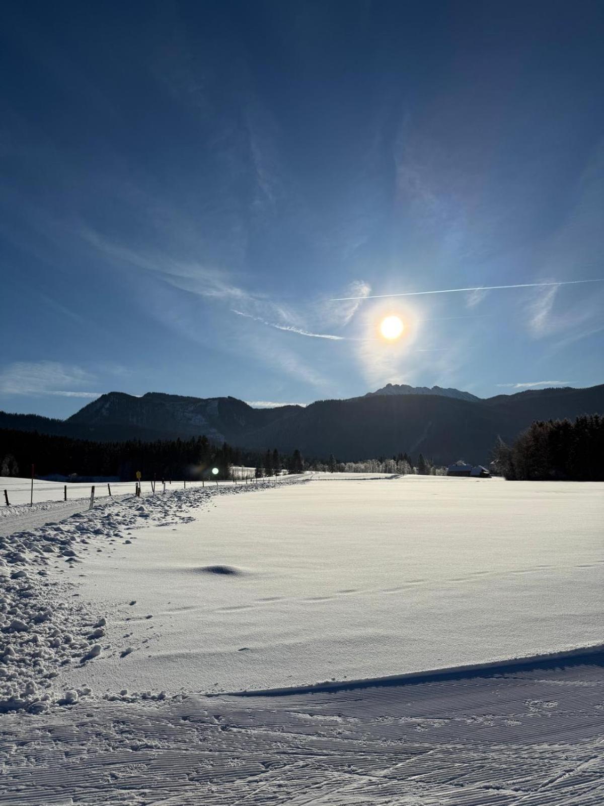 Alploft Apartment Top1 Bad Mitterndorf Dış mekan fotoğraf